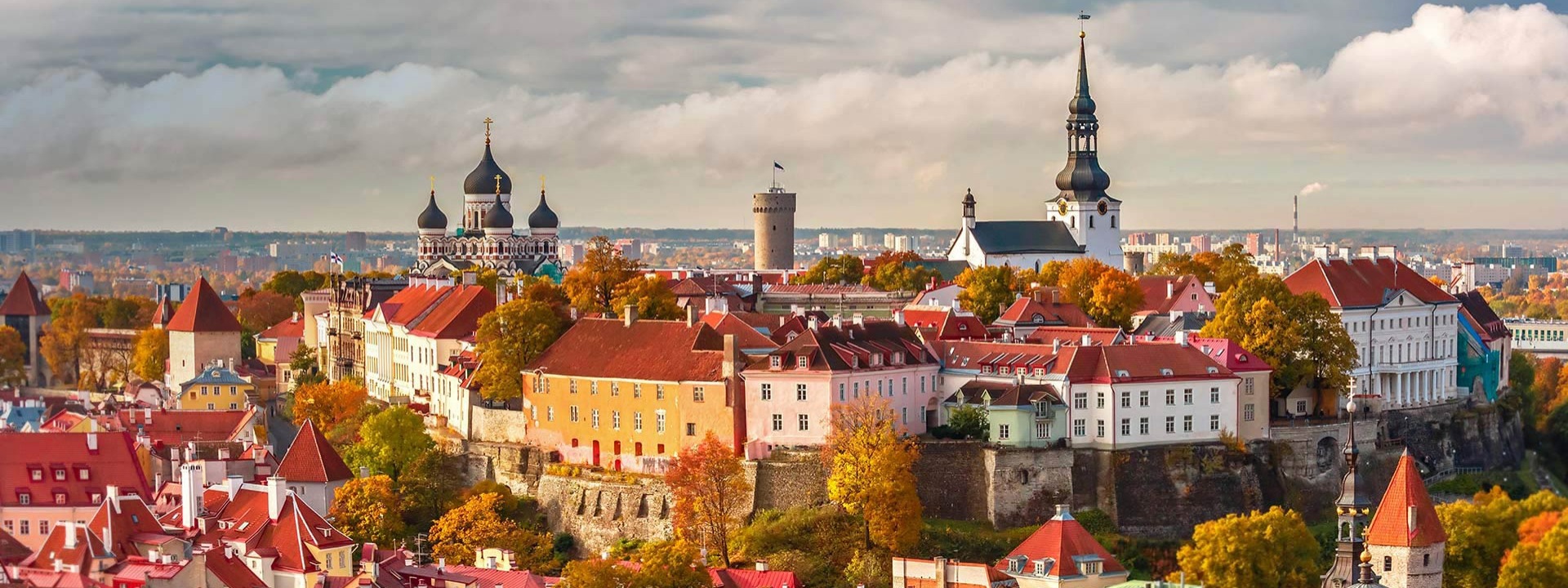 EPIC11 | National Workshop | Estonia